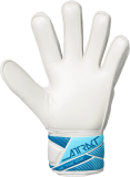 Reusch Attrakt Solid Junior 5672515 1080 white back